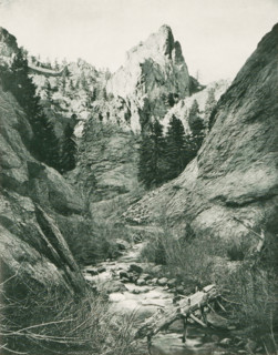 In North Cheyenne Cañon, Mountain landscape in North Cheyenne Cañon Park, page, photomechanical