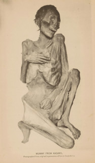 Mummy from Kagamil Island in Alaska, Mummy from Kagamil, page, photomechanical print, inscription: