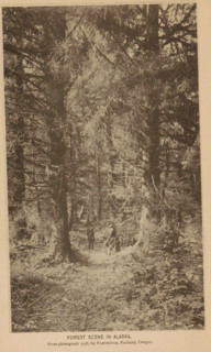 Forest scene in Alaska, Two people in a forest in Alaska, page, photomechanical print, inscription: