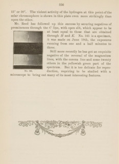 Surface of the sun, page, photomechanical print, number: 'No. 165.', 1892-06-19, paper, autotypie,