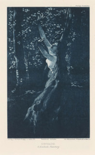 View of a tree nymph, Dryad, page, photomechanical print, photographer: George Einbeck, cliché