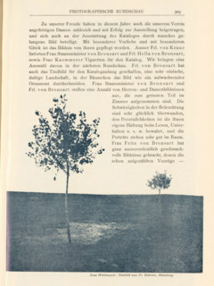 Zum Wettbewerb, View of two trees in a field, page, photomechanical print, inscription: 'Titelbild