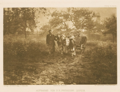 Farmer with a hay wagon, page, photomechanical print, photographer: FR Prössdorf, Leipzig, cliché