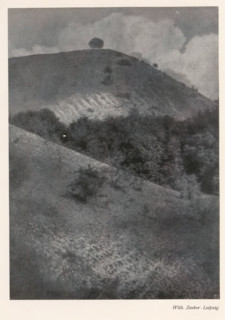 Hilly landscape, page, photomechanical print, photographer: Wilh. Zenker, cliché maker: Meisenbach,