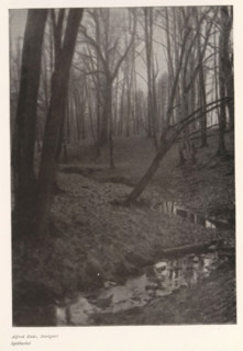 Stream in a forest, Spätherbst, page, photomechanical print, photographer: Alfred Enke, cliché