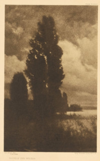 Landscape with poplar, Pappeln und Wolken, page, photomechanical print, photographer: Hans Watzek,