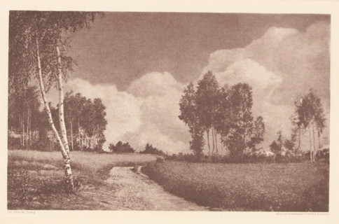 Landscape, with a birch in the foreground, page, photomechanical print, photographer: Otto Erhardt,