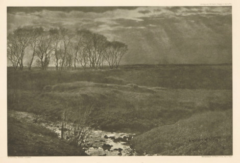 Landscape with trees, 'Sunshine and Rain', page, photomechanical print, photographer: Alfred