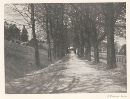 Forest road with trees on either side, page, photomechanical print, photographer: H. Vonachten,