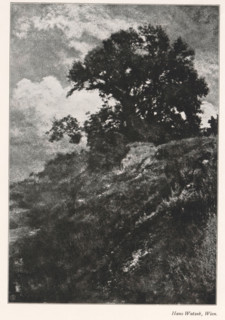 Landscape with tree, page, photomechanical print, monogram: 'LEIPZIG, S G', photographer: Hans