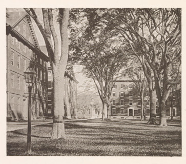 View of buildings of Harvard College in Cambridge, page, photomechanical print, photographer: