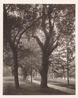 Love lane, photograph, page, photographer: Edward H. Hart, United States Naval Academy, cliché