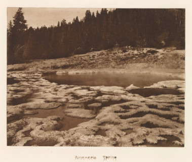 Artemesia Spring, page, photomechanical print, photographer: Frank Jay Haynes, Yellowstone National