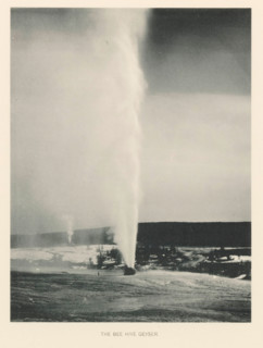 The Bee Hive Geyser, page, photomechanical print, photographer: Frank Jay Haynes, Yellowstone