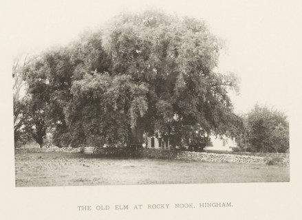 The old elm at Rocky Nook, Hingham, page, photomechanical print, number: 'V.', photographer: Henry