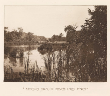 View of a pool near Sleepy Hollow, page, photomechanical print, inscription: ''Sometimes sparkling