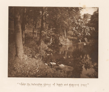 Trees along a lake near Sleepy Hollow, page, photomechanical print, inscription: ''Under the