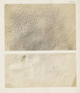 Two images of raindrop prints on sandstone, page, number: 'Pl. 46.', United States of America, c.