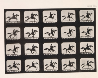 Twenty shots of a running horse, Mohammed, -Running. Stride, 15 Ft, 9 In., page, photomechanical
