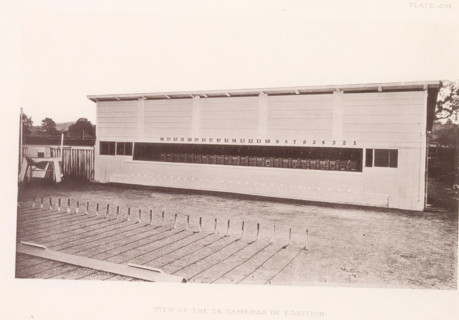 View of the 24 cameras in position, Setup with photo cameras to capture a horse in motion, page,