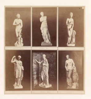 Six casts of ancient sculptures of Venus including the Venus de' Medici, the Capitoline Venus and