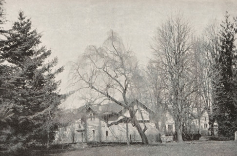 View of a house and trees, page, photomechanical print, inscription: '...', maker: Bonneau & Co., c