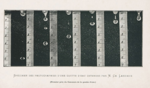 Different phases of a falling drop, Specimen des photographies d'une goutte d'eau obtenues par M.Ch