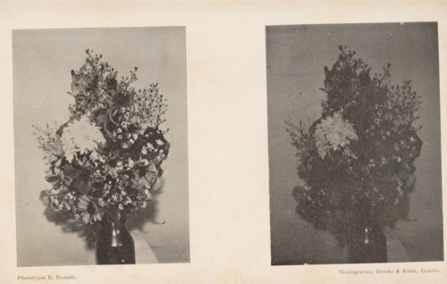 Aluminium et Magnesium, Two lighting studies, depicting a bunch of flowers in a vase, page,