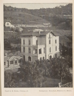 View of a villa in a mountainous landscape, probably in Switzerland, page, photomechanical print,