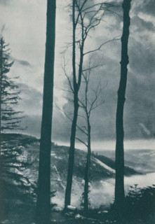 Landscape, page, photomechanical print, monogram: 'C. Cie', photographer: Hermann Linck, cliché