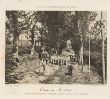 Shepherd with flock of sheep on a country road, Etude de Moutons, page, photomechanical print,
