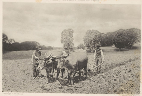 Le Labour, Two farmers work a piece of land with two cattle for a plow, page, photomechanical