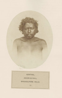 Portrait of an unknown man from the Santhal tribe in eastern India, photograph, page, number: '