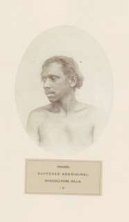 Portrait of an unknown man from the Mal Paharia tribe in eastern India, photograph, page,