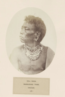 Portrait of an unknown man from the Naga tribe of Assam, photograph, page, number: '(37)',