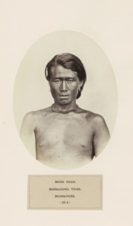 Portrait of an unknown man from the Naga community of Manipur, photograph, page, number: '(37 A)',