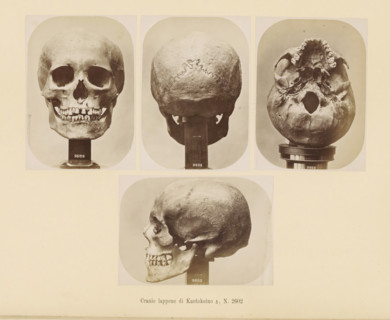 Four images of a Sami male skull, Cranio lappone, di Kautokeino ?, No. 2602, page, Top left a front