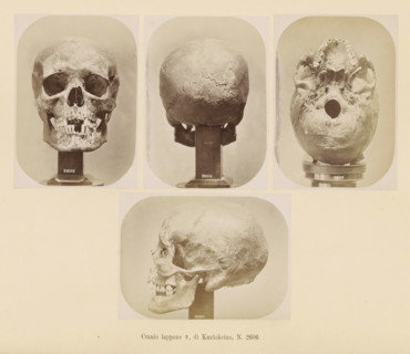 Four images of a Sami female skull, Cranio lappone ?, di Kautokeino, No. 2606, page, Top left a