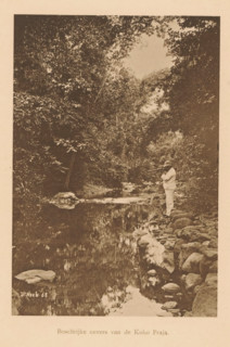 View of an unknown European man with a rifle on the bank of a river, Wooded banks of the Koko