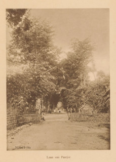 View of a road in a wooded area, Laan van Pantjor, page, photomechanical print, maker: Christiaan