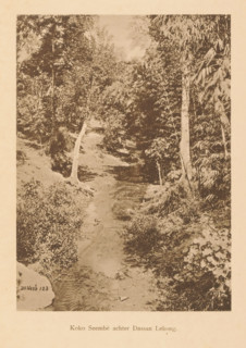 Koko Seembe behind Dassan Lekong, View of a water in a wooded area, page, photomechanical print,