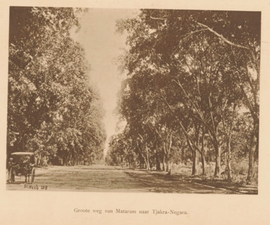View of a road with trees along it, Great Road from Mataram to Tjakra-Negara, page, photomechanical