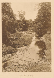 Koko Praja, te Praja, View of a river in a wooded area, page, photomechanical print, maker: