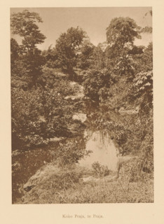 Koko Praja, te Praja, View of a river in a wooded area, page, photomechanical print, maker:
