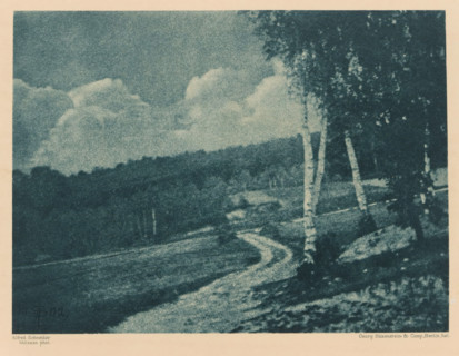 Landscape, page, photomechanical print, inscription: 'Photogr. Mitteilungen LX', monogram: 'BX',