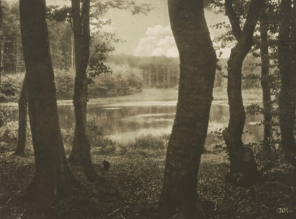 View of the Waldsee, Waldsee, page, photomechanical print, inscription: 'Photogr. Mitteilungen XL',