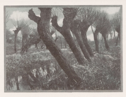 Weiden im vorfrühling, Landscape with willows, page, photomechanical print, monogram: 'BX',