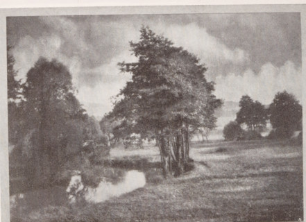 Landscape, Summertag, page, photomechanical print, monogram: 'BX', photographer: Max Albert,