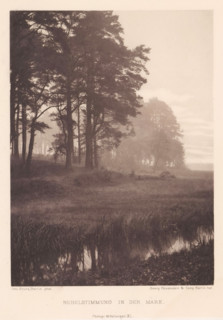 Landscape in fog, Nebelstimmung in der Mark, page, photomechanical print, inscription: 'Photogr.