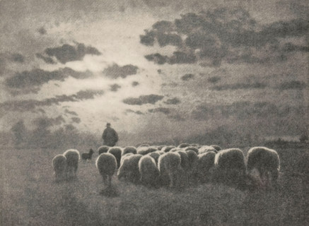 Shepherd with flock and dog, Evening, page, photomechanical print, photographer: Léonard Misonne,